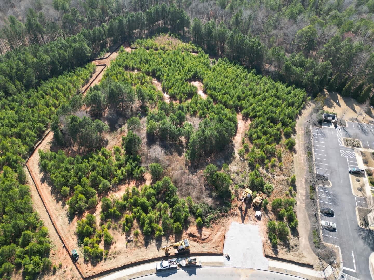 Site Survey · Pre-Clearing